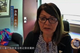 帝国时代4罗斯赏金加成_帝国时代4木栅栏生命